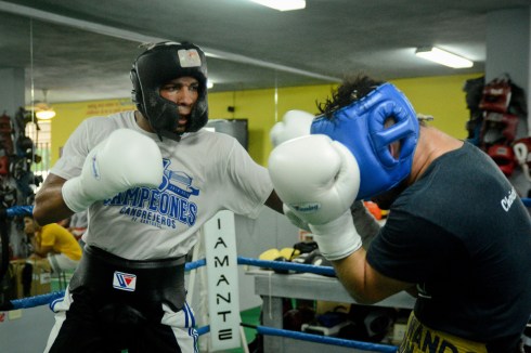 Verdejo_sparring-17 copy